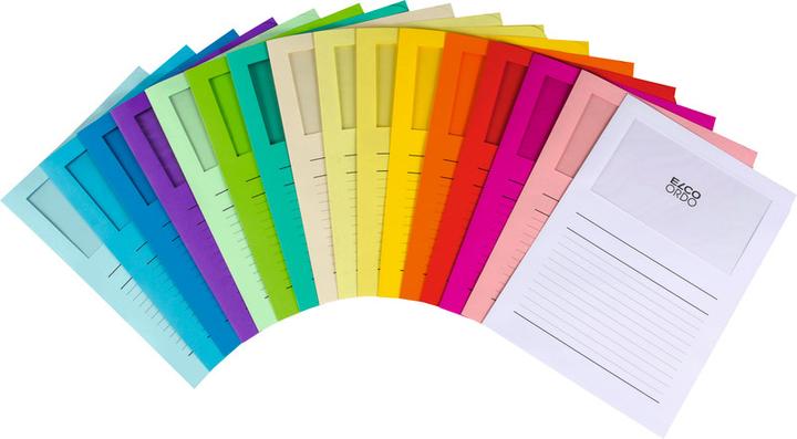 Actual product image Elco Ordo classico transparent cover (A4, 100 x)