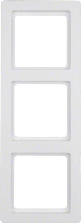 Actual product image Berker Frame