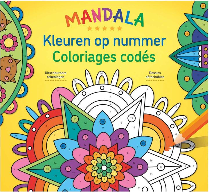 Actual product image Mandala painting by numbers