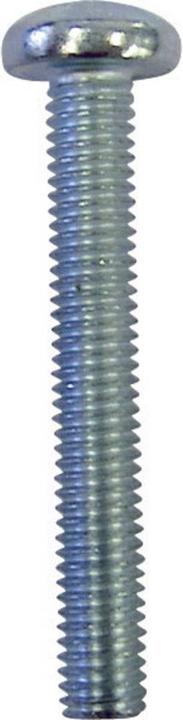 Productafbeelding Toolcraft Ovale schroeven M4 16 mm Torx (100 Schroeven per stuk)