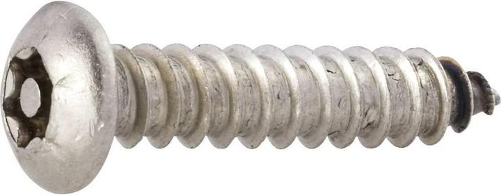 Produktbild Toolcraft Linsenblechschrauben 4.2 mm 13 (10 Schrauben pro Stück)