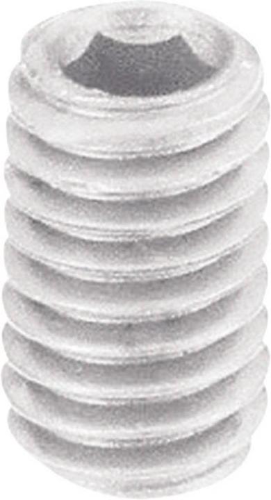 Toolcraft Draadstift M5 6 mm polyamide (10 Schroeven per stuk)
