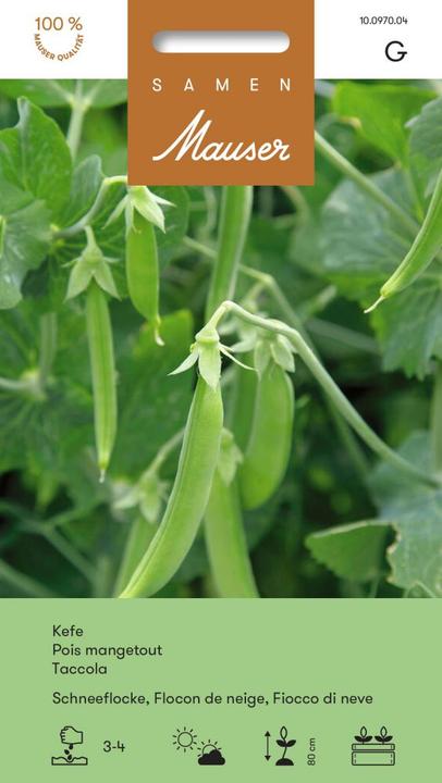 Actual product image Samen Mauser Kefen snowflake (Vegetable seeds)