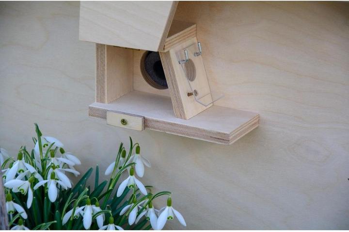 Immagine prodotto Dobar Box professionale per bombi (Calabroni)