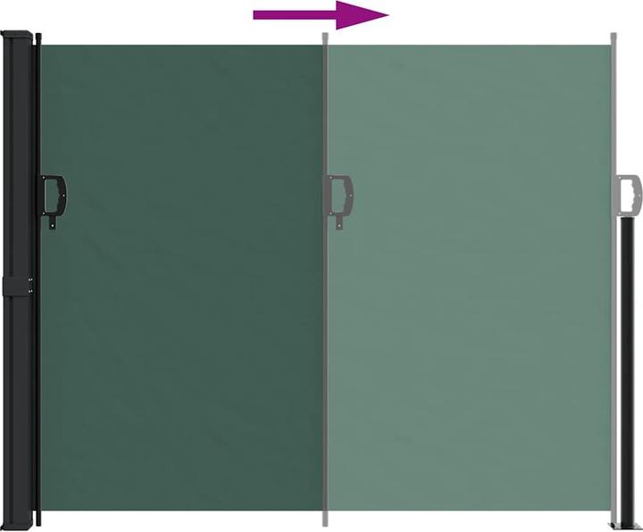 Actual product image vidaXL Extendable side awning (1 m)