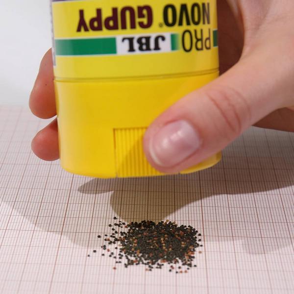Actual product image JBL Aquaristik und Terraristik ProNovo GUPPY GRANO S 250ml CLICK (Guppies, 250 ml)