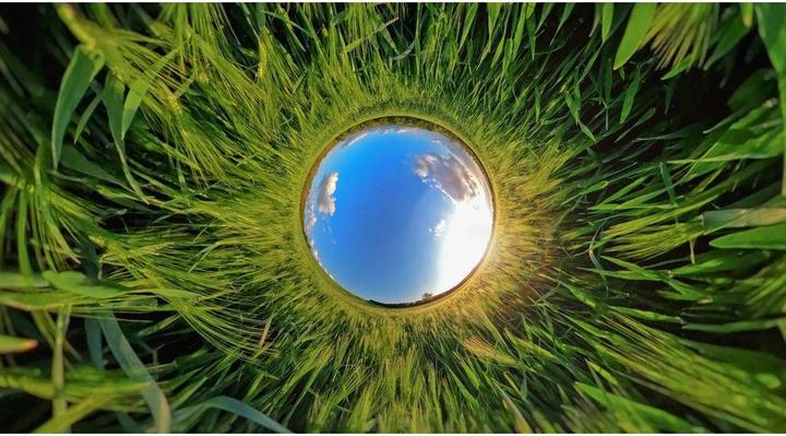 Produktbild GoPro Enduro