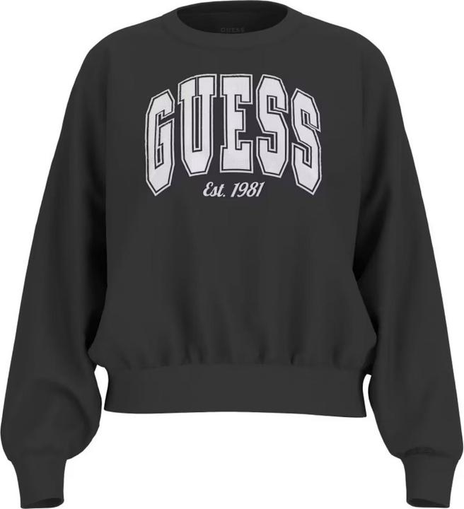 Actual product image Guess Sweatshirt Pullover COLLEGE (S)