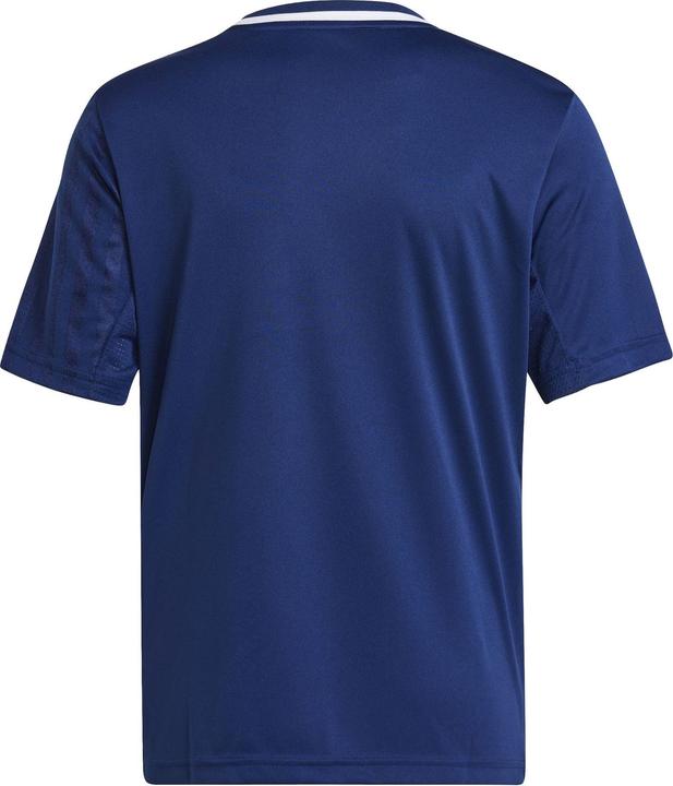 Produktbild adidas Campeon 25 Trikot Kids (164)