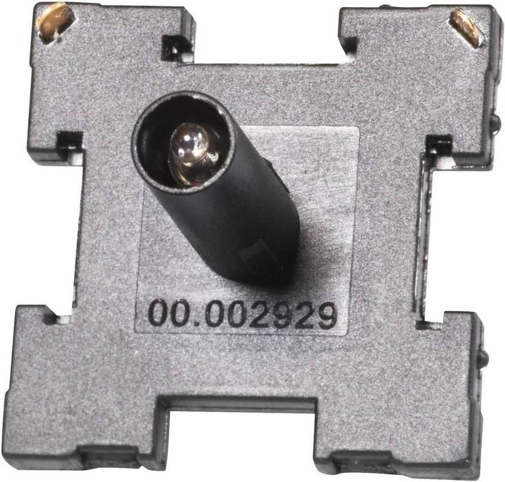 Immagine prodotto Gira Inserto per lampada a bagliore standard 55