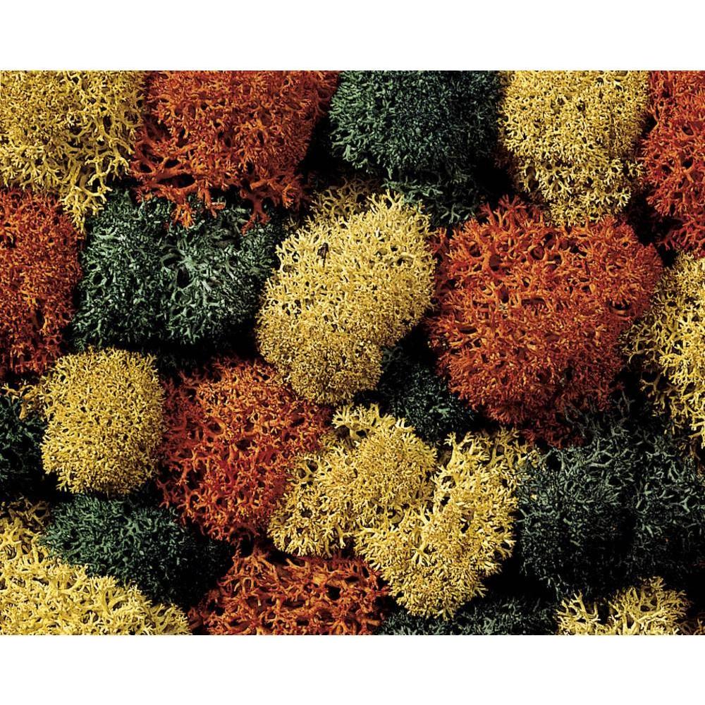 Noch Muschio 8630 Misto Autunno