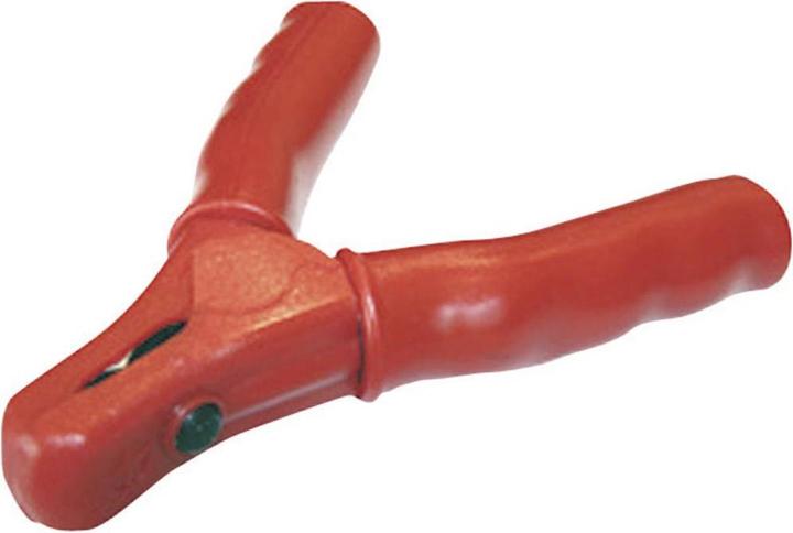 Rot