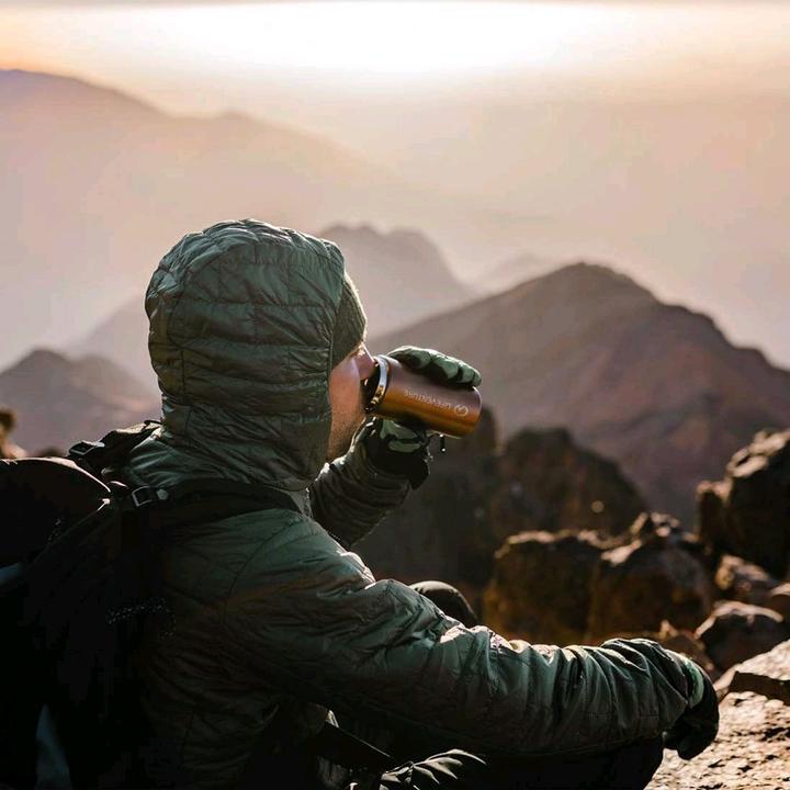 Actual product image Lifeventure Thermal Mug, Copper (0.30 l)