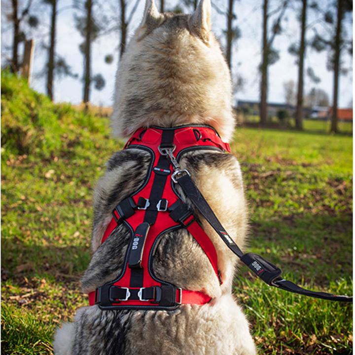 Actual product image i-DOG Confort Trek (XS, Dog, General)