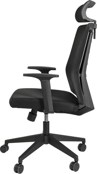 Produktbild Contini Ergonomic (47 - 53 cm)
