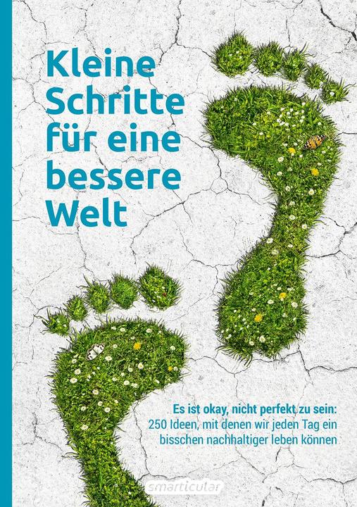 Kleine Schritte für eine bessere Welt (Deutsch, smarticular Verlag, 2021)