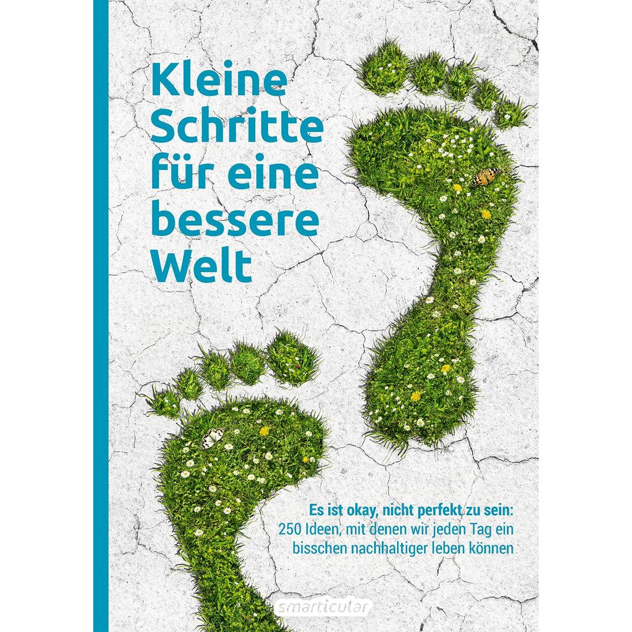 Kleine Schritte für eine bessere Welt, Ratgeber von smarticular Verlag