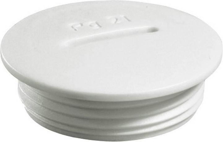 Produktbild Wiska Verschlussschraube PG48 Polyam