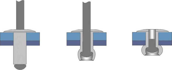 Actual product image Bralo Blind rivet (Ø x L) 4 mm x 6 mm