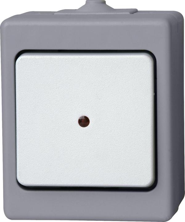 Kopp Feuchtraum-Kontrollschalter 564648005, grau