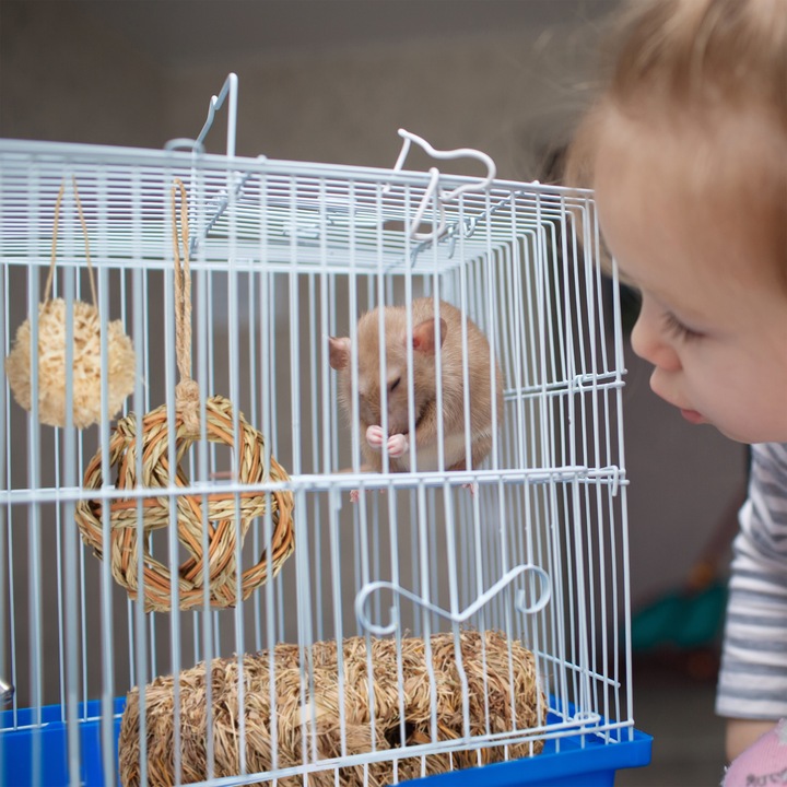 Productafbeelding Relaxdays Hamster Accessoires Set