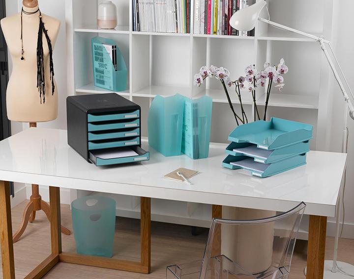 Actual product image Exacompta Magazine file (A4+)