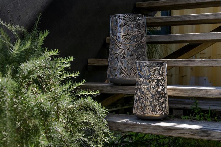 Image du produit STT Flora