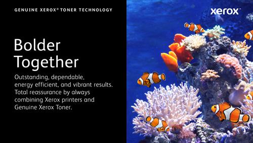 Produktbild Xerox 106R03759 (M)