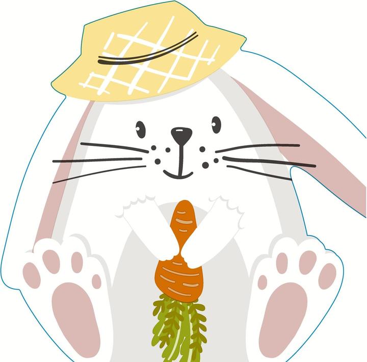 Image du produit Paper + Design Serviette de Pâques Lapin avec chapeau prédécoupé (12 pcs, 33 x 33 cm)