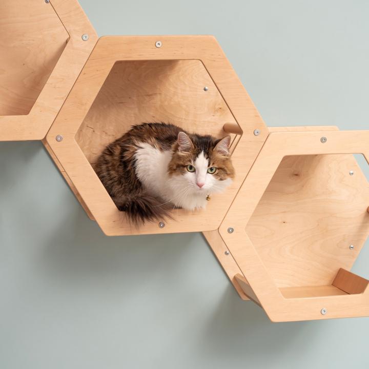 Actual product image Wowhelperco 4 honeycombs (Nature)