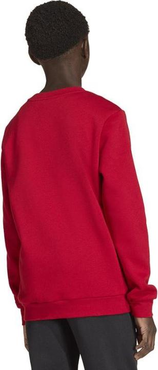 Produktbild Adidas Ent26 Sw Topy - tepore/white (152)