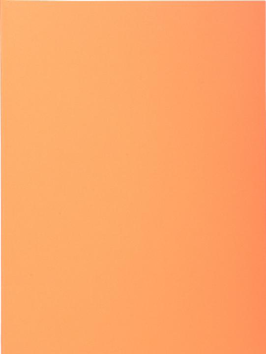 Immagine prodotto Exacompta Scrapbook - Copertine di file (A4, 100x)