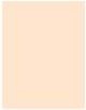 Actual product image MAC Cosmetics Studio Fix Powder Plus Foundation (No. NC10)