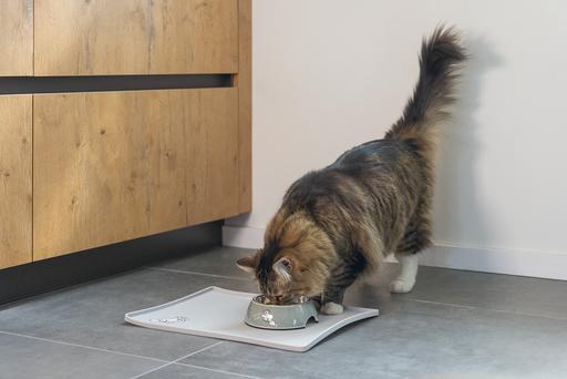 Produktbild Karlie Simon's Cat (0.16 l)