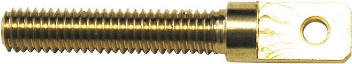 Actual product image Modelcraft Brass eyebolt with Auss