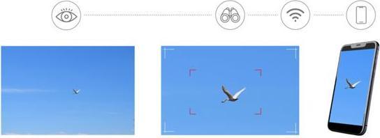 Image du produit Levenhuk Kelvin Snap ED 8x42 Digital Photomonocular (8x, 42 mm)