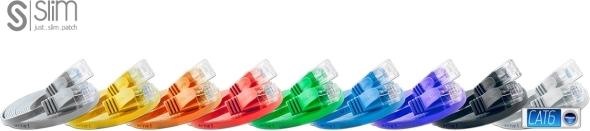 Image du produit Wirewin Câble de réseau (UTP, CAT6, 25 m)