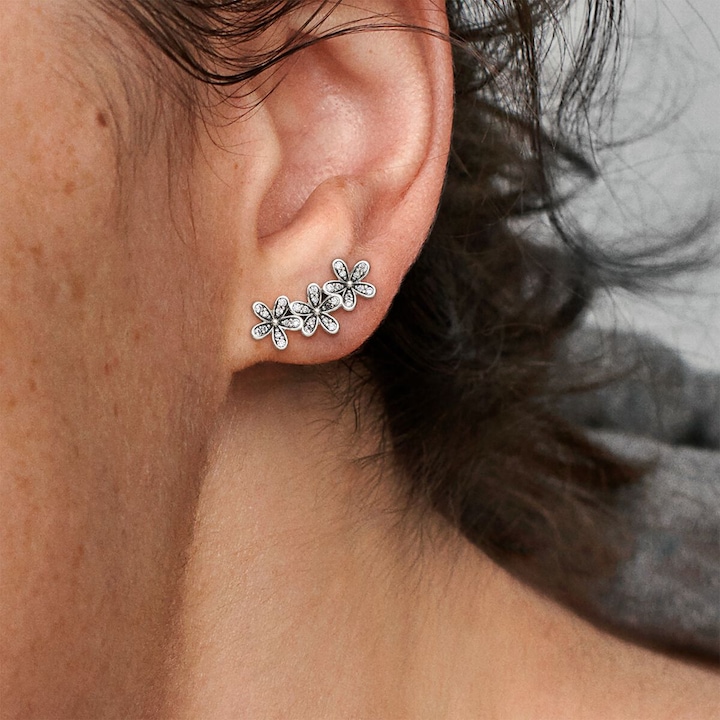 Produktbild Pandora Gänseblümchen (Silber)