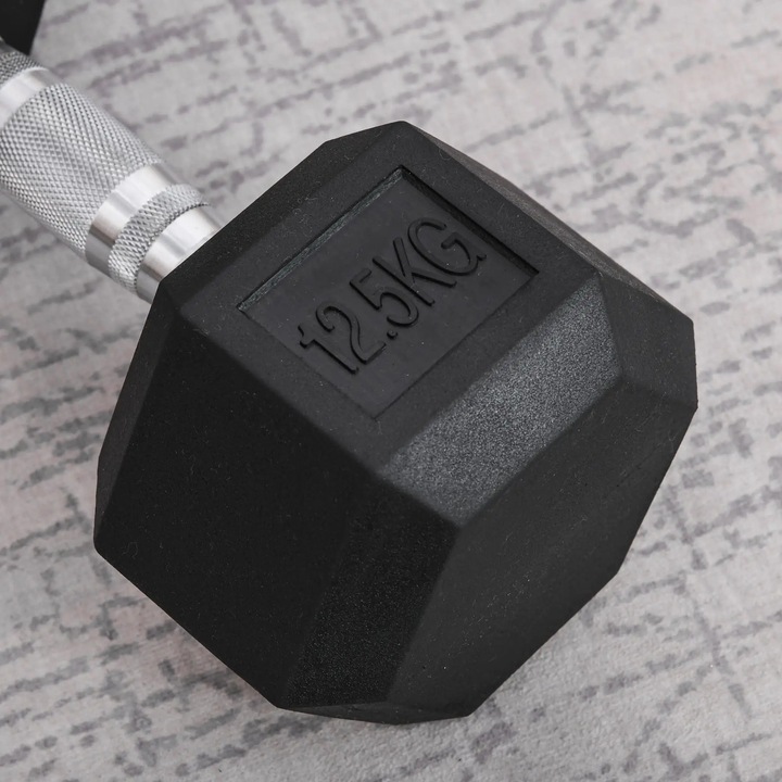 Image du produit Homcom Entraînement au poids des haltères, bras triceps et biceps, épaules, dos, poitrine (1 x 12.5 kg)