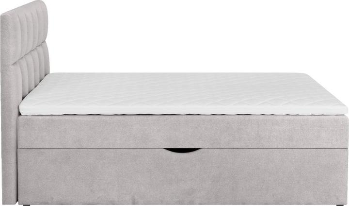 Image du produit Livetastic Lorie (180 x 200 cm)