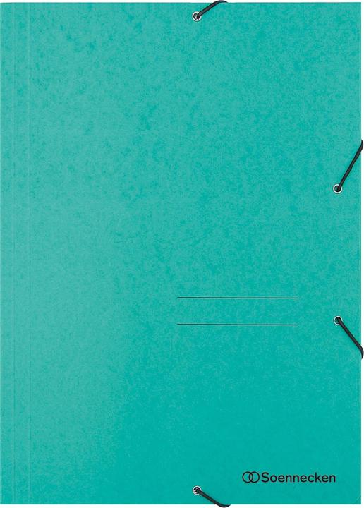 Soennecken Corner binder Use for paper format: DIN A4 Material: Cardboard (A4, 1x)