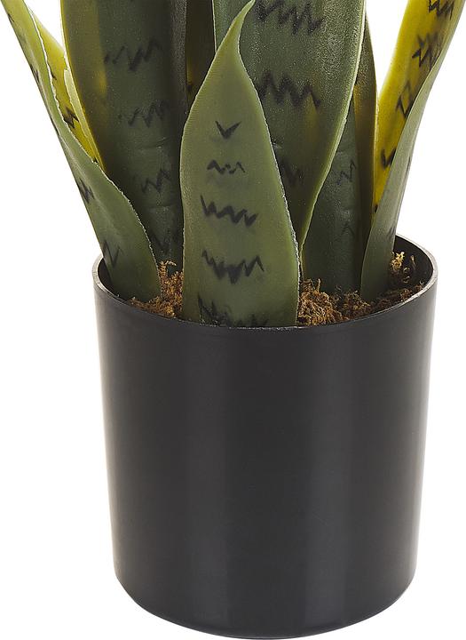 Immagine prodotto Beliani Snake Plant (40 cm)