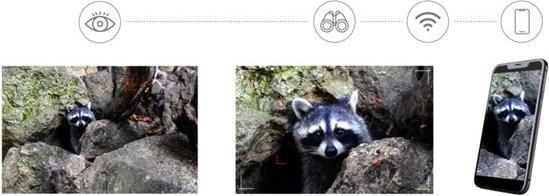 Image du produit Levenhuk Kelvin Snap ED 8x42 Digital Photobinoculars (8x, 42 mm)