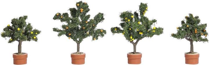 Produktbild Busch Baumpackung Zitrusbäume 45 bis
