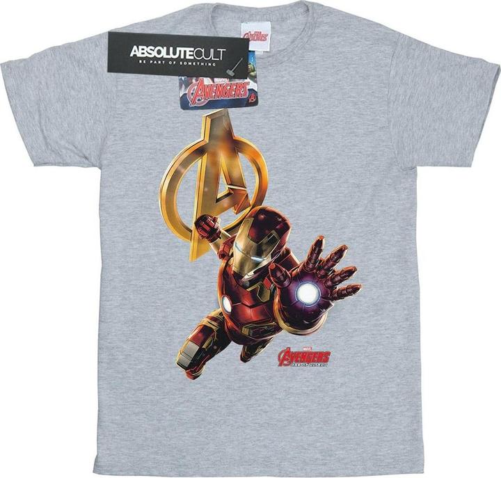 Actual product image Mens Iron Man Pose T-Shirt (S)