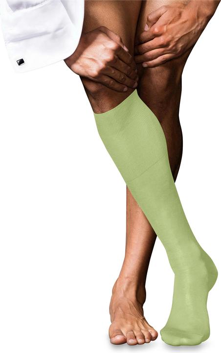 Image du produit Falke No. 9 Pure Fil d'Écosse Herren (45 - 46)