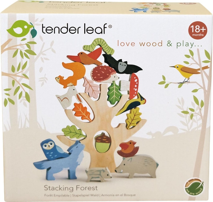 Actual product image Tender Leaf Toys Forest