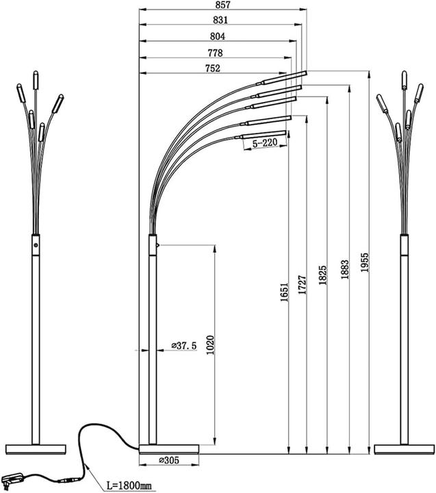 Actual product image Trio LED floor lamp REED 5xR410315073.5W 5x 350lm 3000K D.30xH (1750 lm)