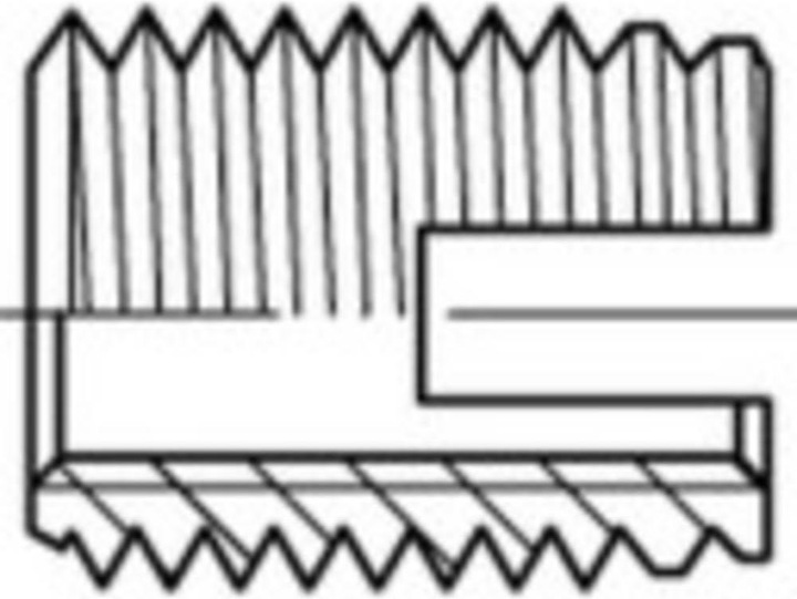 Actual product image Threaded inserts M3 6 mm 50 pcs. (50 Screws per piece)