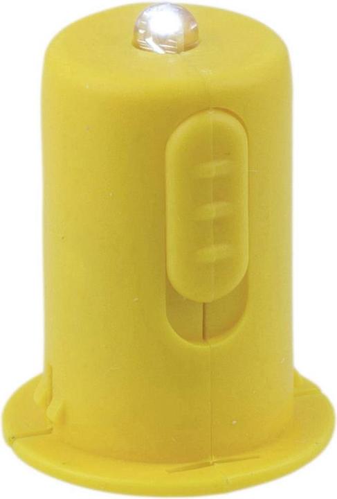 Elektrisch lantaarnlicht